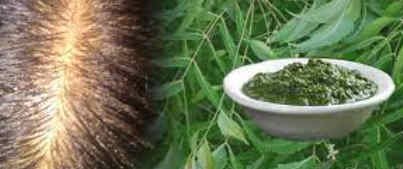 Neem Dandruff solution in Hindi.